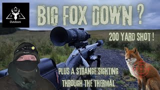 MFL Outdoors - Foxing Night Out On The Fells || Big Dog Fox || Vixen || Plus Something Strange !