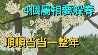 2024立春將至，老人說「4個屬相要躲春，順順噹噹一整年」，啥意思？【大道無形】#俗语#国学#立春#躲春