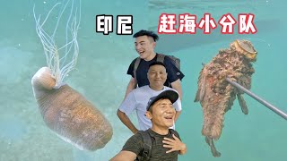 《印度尼西亚》第16天：赶海偶遇会吐丝的海参，还收获好多石头鱼！#旅行 #旅行攻略 #环球旅行 #indonesia #印度尼西亚 #赶海 #