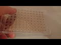 electrode array in multiwell format microtitre plate