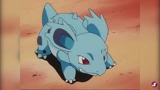 Nidorina 030