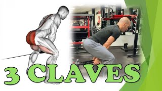 Low Pulley Pull Through with Ropes. Technique for Glutes