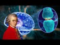 Classical Music For Brain Power  Mozart