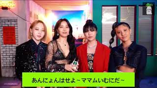 ［日本語字幕］MAMAMOO Dingga 紹介動画