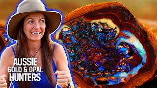 Opal Whisperers Strike $69,000 Worth Of Stunning Yowah Nut Opal | Outback Opal Hunters