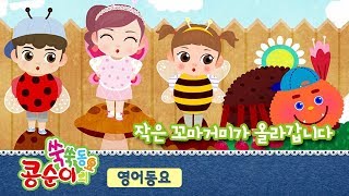 [콩순이 쑥쑥동요] 작은 꼬마거미가 올라갑니다