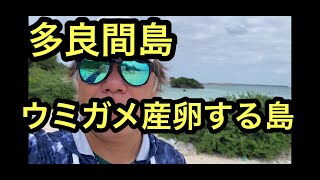 多良間島ひとり旅、沖縄宮古島に戻ります。多良間島は宮古島と比較してのんびり、南大東島に似ていた感じ。