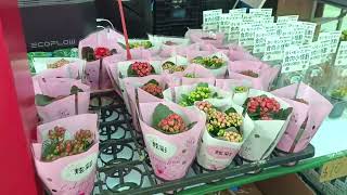 @ Beautiful flower in an organic farm show in fa hui park Hong Kong part 1