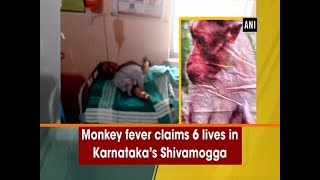 Monkey fever claims 6 lives in Karnataka’s Shivamogga - #Karnataka News