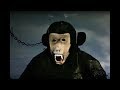 Cam MacKellar - Don't Fear The Fear