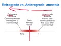 retrograde vs. anterograde amnesia vce psychology