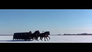 Onegin- Pelicula Británica- (Basada en la obra del escritor Ruso Pushkin) / 1999