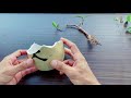 how to make a bonsai tree in few minutes