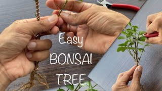 How to make a Bonsai tree in few minutes