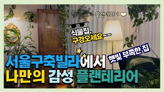 SUB) 공간별로 두기 좋은 식물!｜집에 완벽 배치｜a plant self｜플랜테리어｜인테리어화분｜거실화분｜홈가드닝｜거실인테리어 ｜공기정화식물｜인테리어식물｜