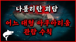 어느 대형 아쿠아리움의 관람수칙 [나폴리탄괴담]