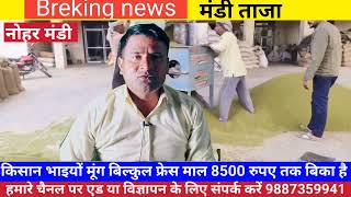 नोहर मंडी भाव 9 जनवरी 2025 , मूंग, मोठ, ग्वार में तेजी,nohar mandi bhav Today|mandi bhav Today|