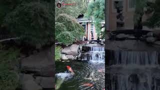 20,000 GALLON KOI POND! 8000 GALLON NATURAL POND! USA