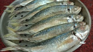 Ternyata Gampang Banget Lo Cara Membuat Ikan Tongkol atau Ikan Pindang #shorts #videoshorts