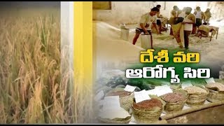 Jaikisan AP | 9th Dec 19 | కృష్ణా, గుంటూరు జిల్లాల్లో పెరుగుతున్న దేశీవరి వంగడాల సాగు