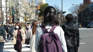 Walking around Harajyuku to Ometesando March 2021@Tokyo Japan 原宿～表参道　Day time walk 　日中散歩