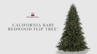 Balsam Hill™ | California Baby Redwood Flip Tree