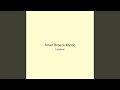Silver Breeze Mystic