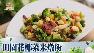 田園花椰菜米燉飯《蔬食GO健康》EP 47-1