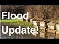 Swales Honey - Flood Update!