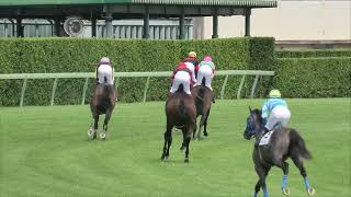 2023 9 24 中山競馬場第5レース　メイクデビュー中山（新馬戦）カニキュル　シュバルツクーゲル　ホウオウベルクソン