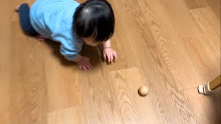 玉遊びでツボに入って笑いまくる息子ww