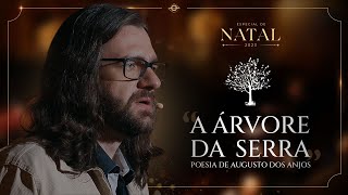 A Árvore da Serra - Poesia de Augusto dos Anjos | Especial de Natal