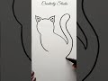 cat drawing.