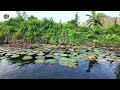 bich dong vietnam foot paddling boat ride through stunning scenery