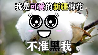 为啥西方要黑新疆棉花？且看棉花的历史！【陶说 | 老王课后闲聊】