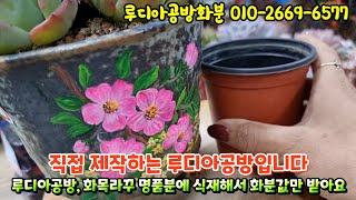 #루디아공방(010-2669-6577) 루디아화분, 라꾸화분, 명품화분에 식재해서 화분값만 받고 드립니다 #succulentplantpot