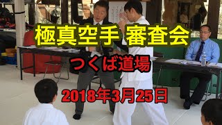 極真空手審査会つくば道場 空手キッズ子ども大人社会人初心者歓迎無料体験