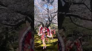 [デレステ]AR 祈りの花