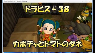 ドラピス＃３８　カボチャとトマトのタネ 【ドラゴンクエストビルダーズ２】【ドラクエビルダーズ】【ドラクエ】【しのちーゲーム】