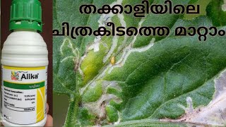 ചിത്രകീടത്തെ  തക്കാളി നിന്നും ഓടിക്കാം 100%result. agromyzid in tomato #krishi #keralaagriculture