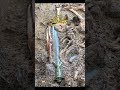 3000 years old sword 😲 history ancient ancientcivilizations viral archaeology