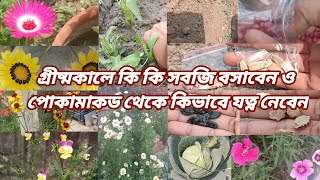 গ্রীষ্মকালে কি কি সবজি বসাবেন #gardening #flowers #plants #summer