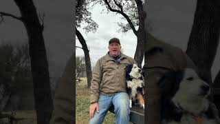 Garden #3 Tailgate session with Hank next steps of the community garden #cottage #tinyhome #garden