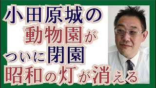 【ジモティートーク】小田原城の動物園が閉演へ。昭和の灯が消えていく