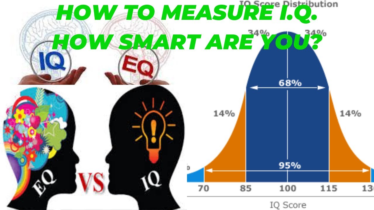 How To Measure I Q How Smart Are You Youtube