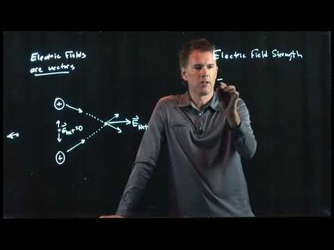 Is electric field a vector field?