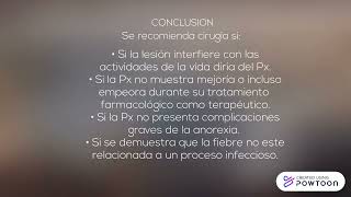 Caso Practico 4