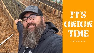 Onion Planting in A Central Texas Garden