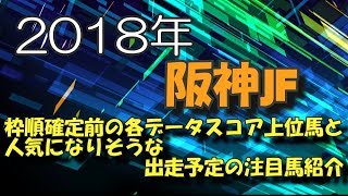 【競馬予想】2018年阪神ジュベナイルフィリーズの項目別データスコア上位馬と人気になりそうな有力馬紹介