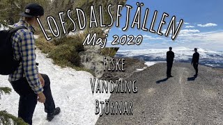 Vandring och fiske bland björnar i Lofsdalsfjällen, Maj 2020 (Södra Härjedalen)